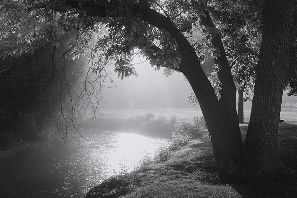 Light on Jordan Creek Print