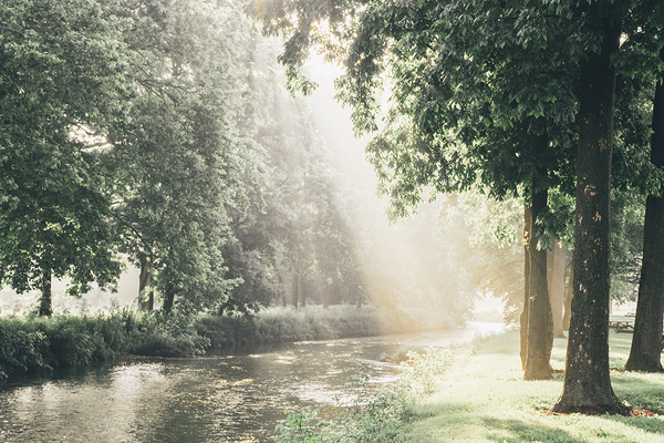 Jordan Creek Morning Light Print