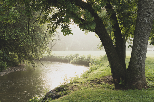 Sunrise on the Rivers Bend Print