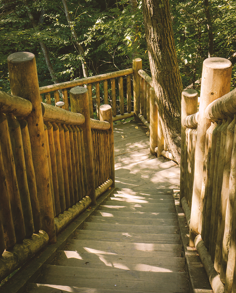 Bushkill Falls Stairs Print