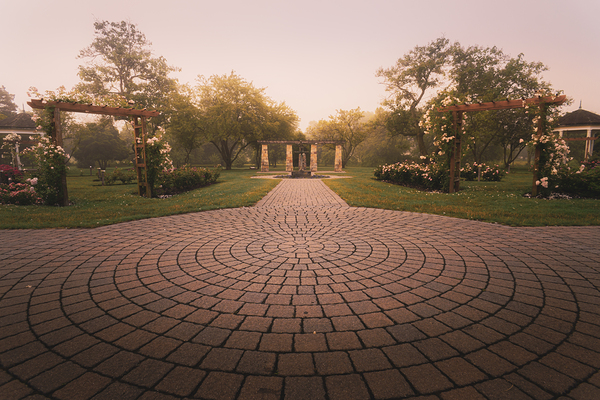 Allentown Rose Gardens Central View  Print
