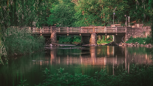 Robin Hood Bridge Deep Greens by Jason Fink