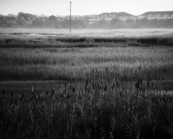 Fields of the Middle Thorofare Print