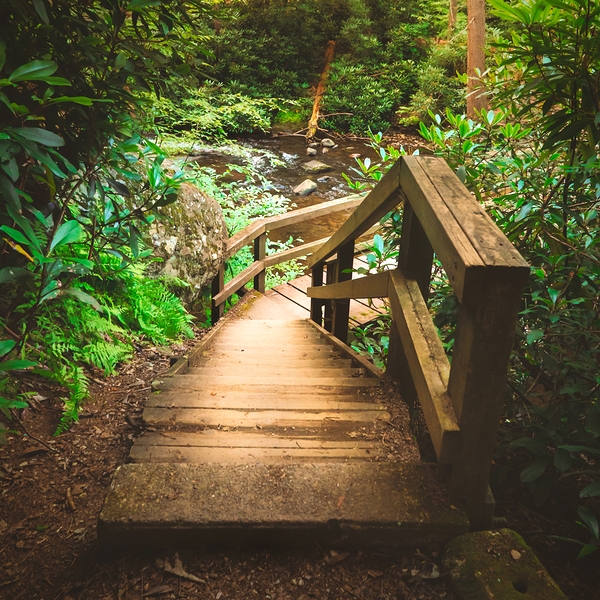 Wildcreek Cove Stairs Print