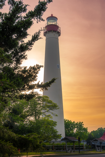 Cape May Lighthouse Sunset from Behind the Trees by Jason Fink