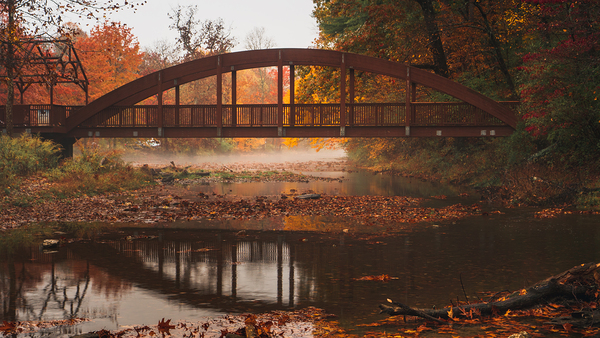 Autumn Morning at the Ford  Print