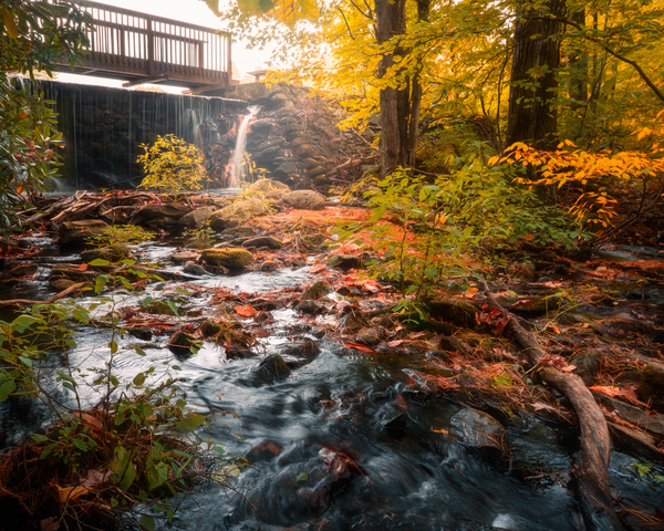 The Creek at Ice Lake Park Print