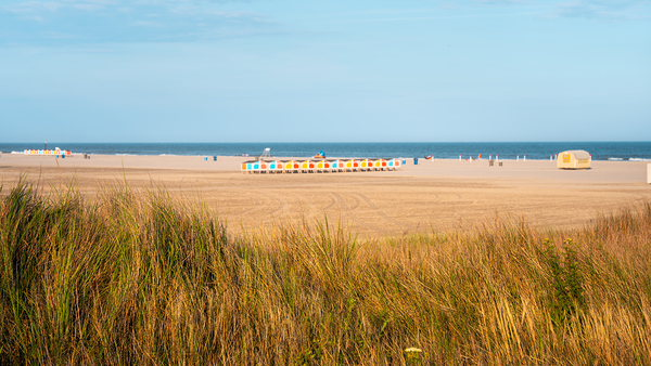 Wildwood Beach Over the Sand Dunes Print