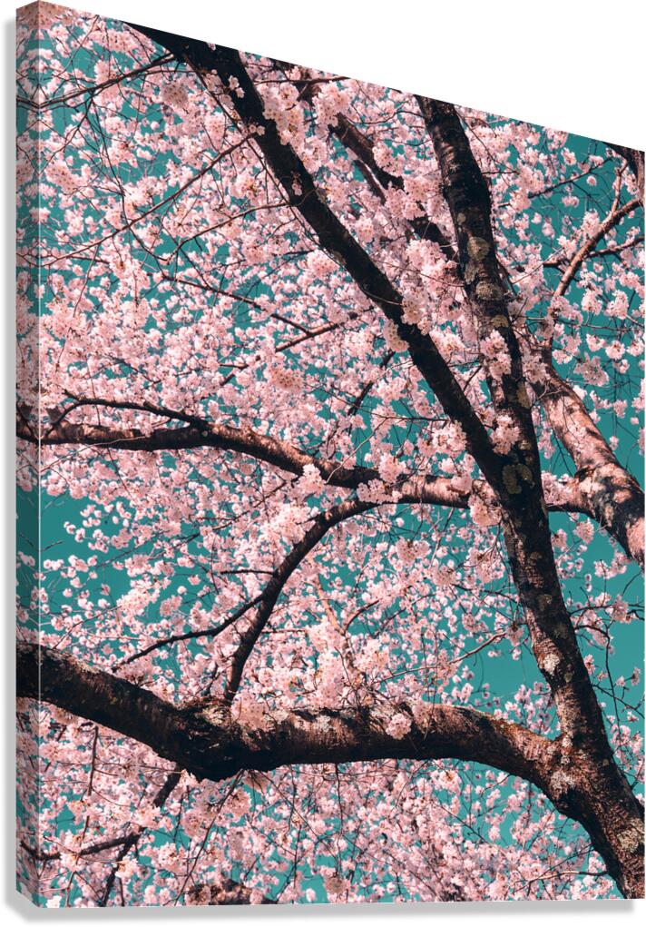 Spring Overhead Canvas Print