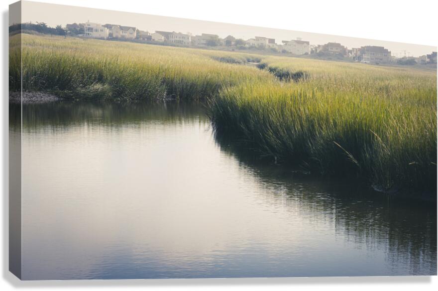 East From Fish Dock Road in Wildwood Canvas Print