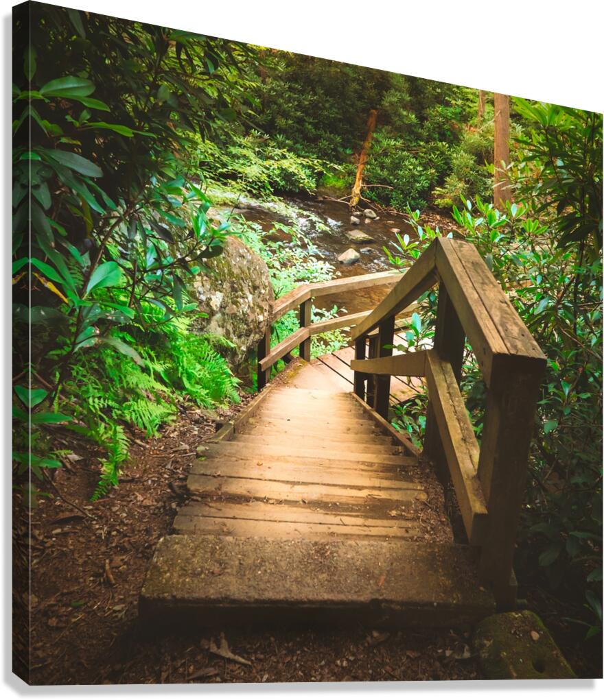 Wildcreek Cove Stairs Canvas Print