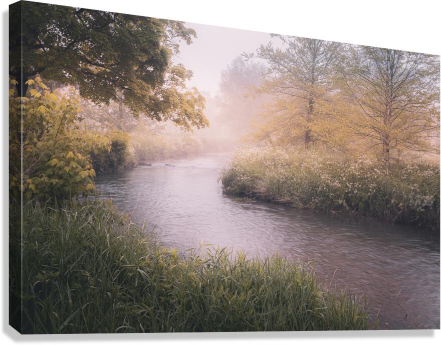 Cedar Creek Park   Misty River Canvas Print