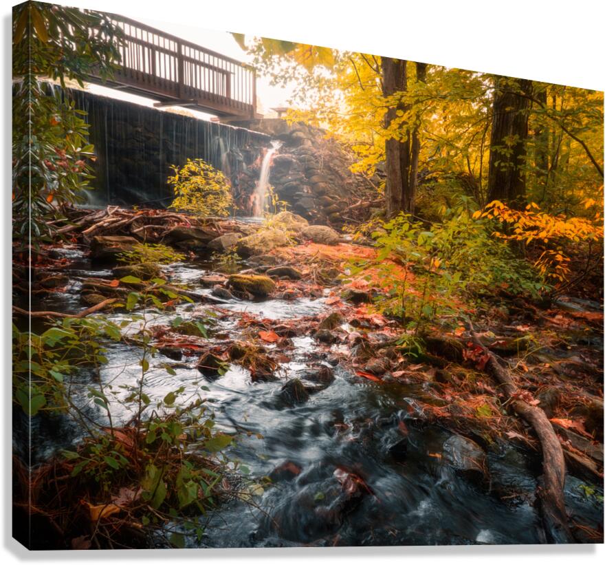 The Creek at Ice Lake Park Canvas Print