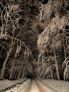 Covered in Winter.