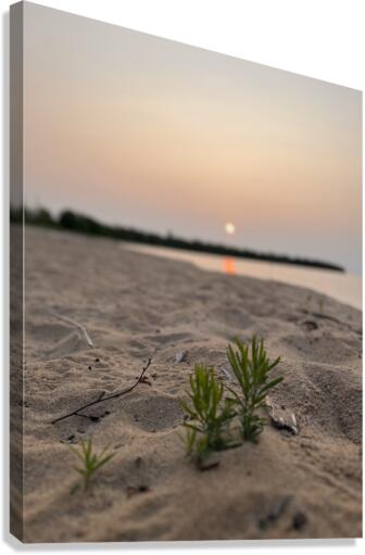 Earth 1. Canvas Print