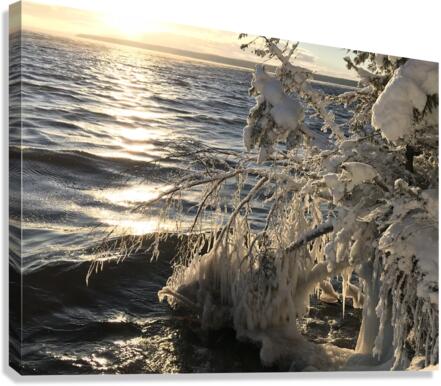 Frozen 2. Canvas Print