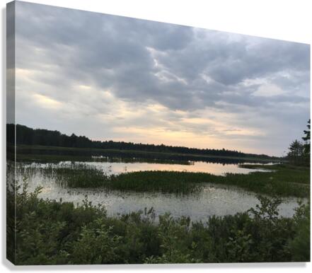 Mud Puddle. Canvas Print