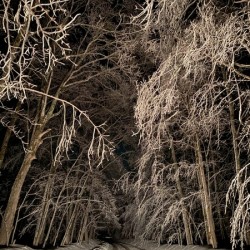 Covered in Winter.