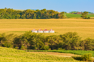 Outstanding In The Field