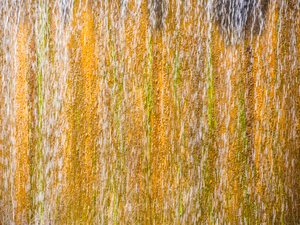 Abstract Water