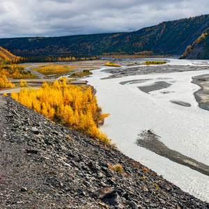 Alaskan River Gold
