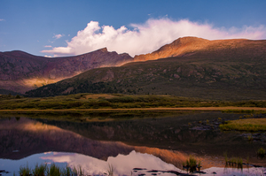 Aspenglow On Mount Bierstadt