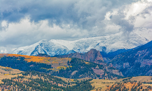 Autumn Snow