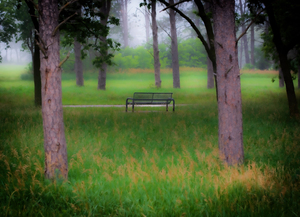 Bench For Daydreaming