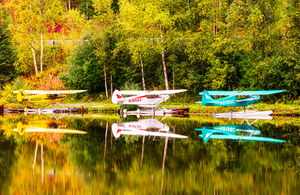 Bush Planes
