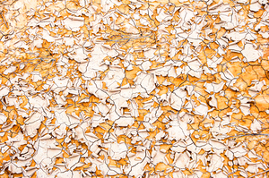 Dry Mud Abstract