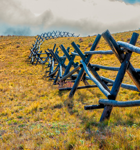 Fence Line