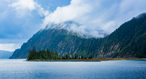 Fox Island