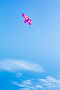 Freebird