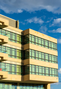 Office Windows