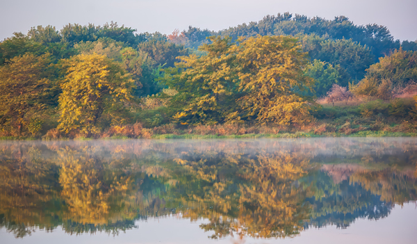 Autumn Lake Reflection Print