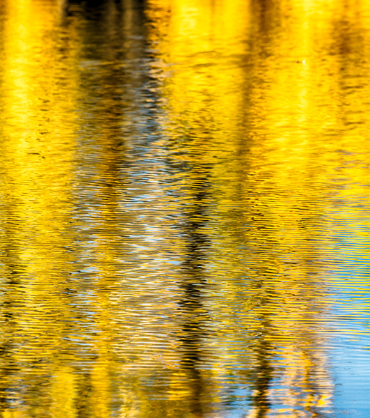 Autumn Reflected by Prairie Wind Imagery