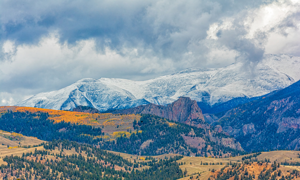 Autumn Snow Print