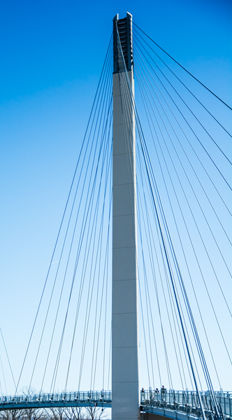 Bob Kerry Bridge Support  Print