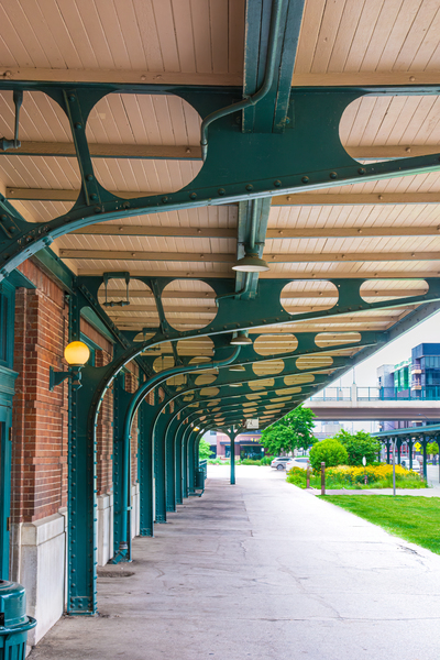 Canopy Street by Prairie Wind Imagery