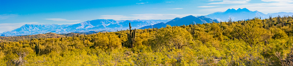 Desert And Mountains Print