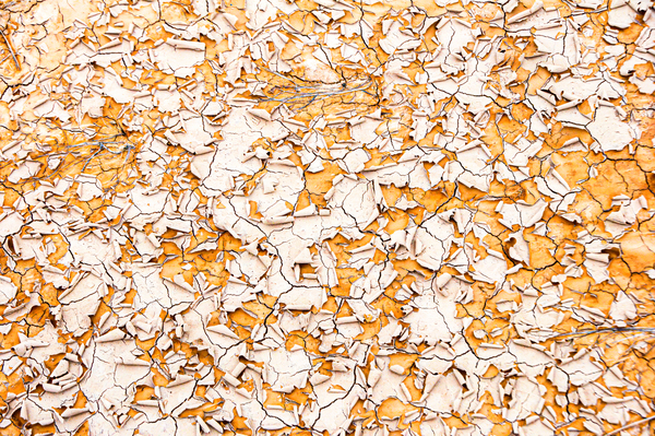 Dry Mud Abstract by Prairie Wind Imagery