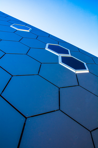 Honeycomb by Prairie Wind Imagery