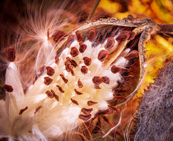 Ready For Release by Prairie Wind Imagery