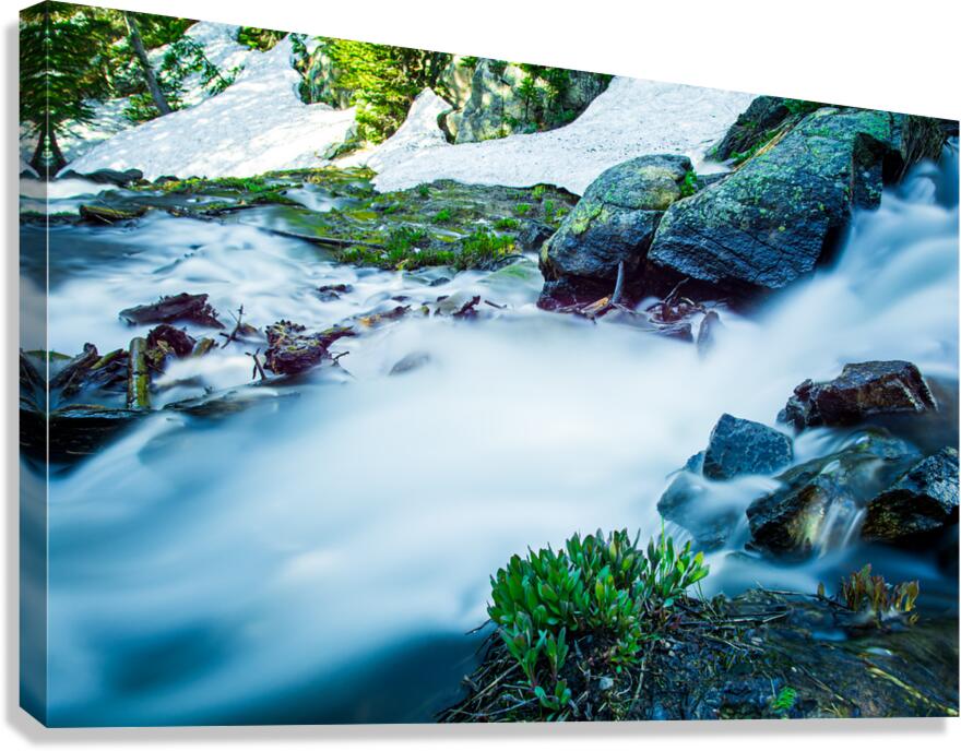 Small Stream From Snow Melt In Rocky Mountain National Park Colo Canvas Print