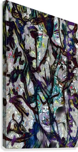Without Limits Canvas Print