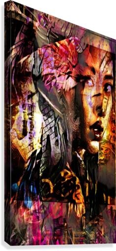Fei Shue Canvas Print
