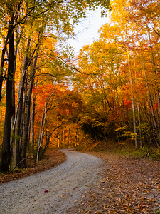 Burnsville Backroad  2