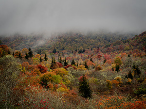 Graveyard Fields 1