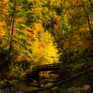Murray Creek Crossing