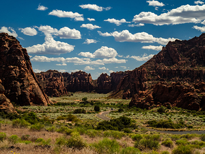 Snow Canyon   5